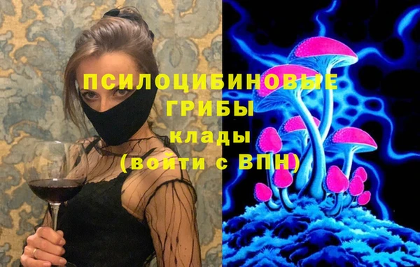 ECSTASY Алексин